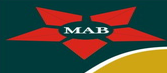 Mabstar Project Ltd Logo